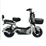 Evobike RAYO